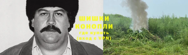 наркотики Белокуриха