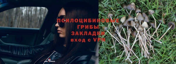 эйфоретик Белоозёрский