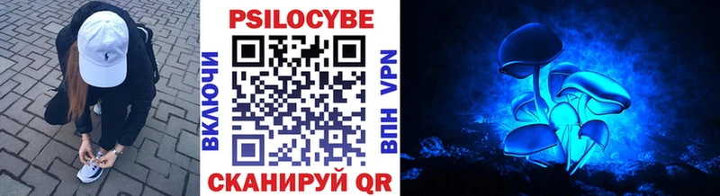 Купить  Вуктыл  Псилоцибиновые грибы GOLDEN TEACHER 